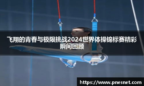 飞翔的青春与极限挑战2024世界体操锦标赛精彩瞬间回顾
